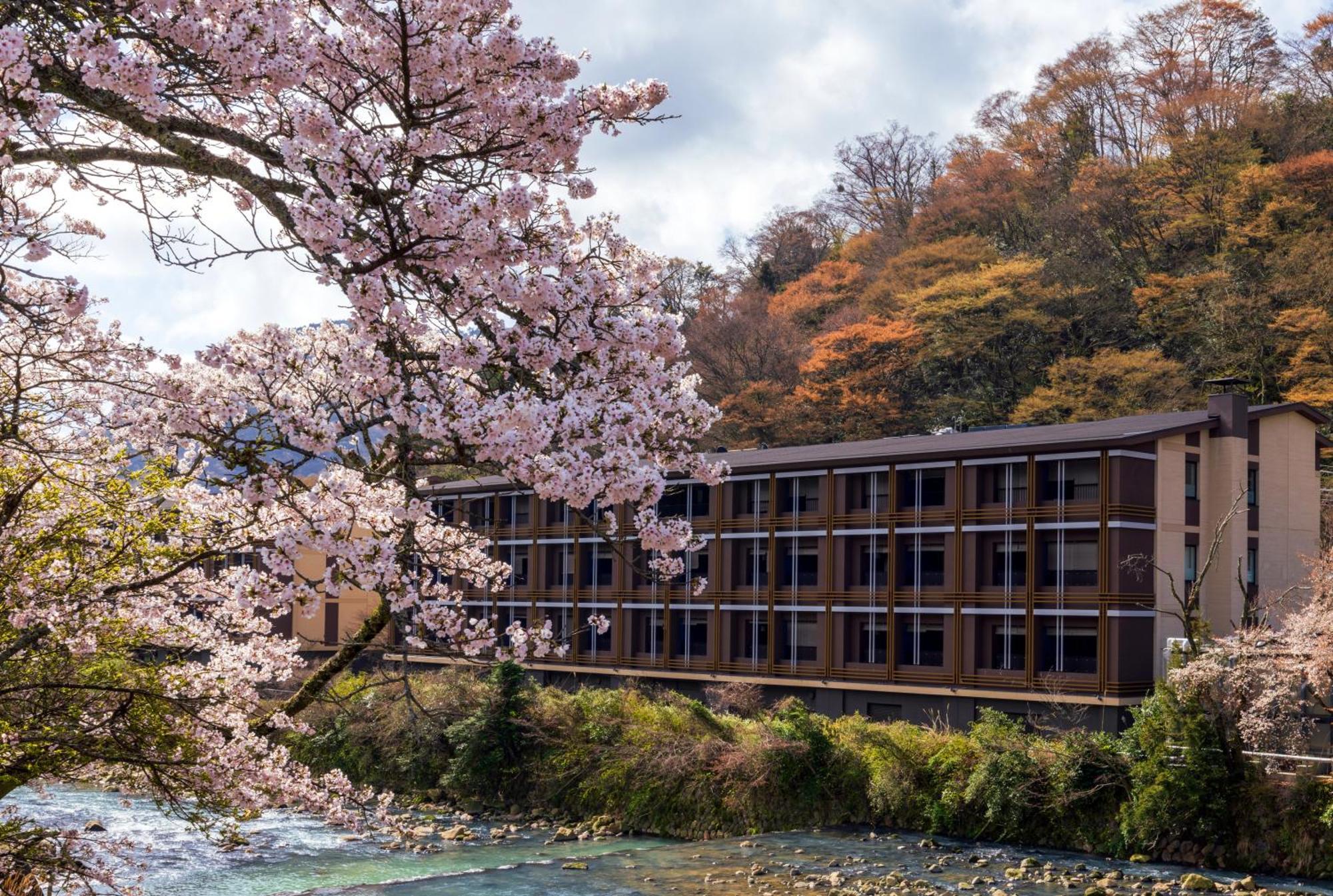 Hotel Indigo Hakone Gora By Ihg Εξωτερικό φωτογραφία
