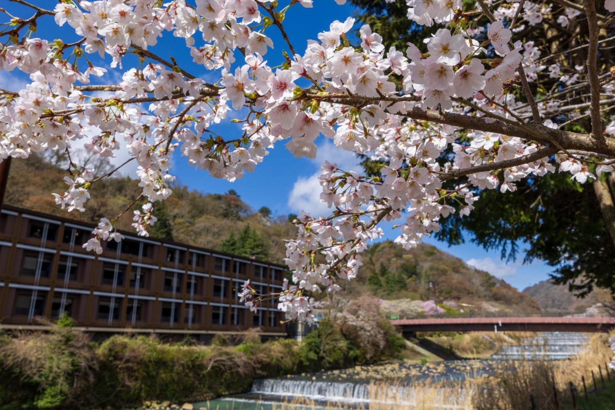 Hotel Indigo Hakone Gora By Ihg Εξωτερικό φωτογραφία